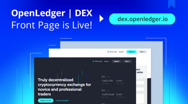 从搭建DEX团队到资金链断裂复盘Web3的第一次创业